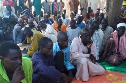 Article : Au Cameroun, la difficile réinsertion des repentis de Boko Haram